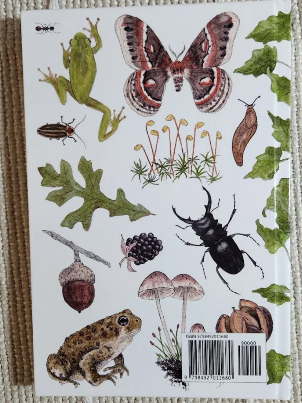 NEW Nature Journal for Kids Activity Book Notebook Hardcover Book Birdwatching B